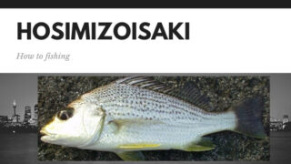 沖縄の街中で釣りをしてみよう♪2月〜3月、冬～早春に沖縄旅行ついでにショアから釣れる魚。【ホシミゾイサキ（ガクガク）編】