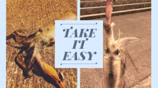 【初心者必見！】2月〜3月、冬～早春に沖縄旅行ついでにショアから釣れる魚。【アオリイカ・クブシミ（コウイカ）】