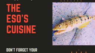 初心者でも釣れる！2月〜3月、冬～早春に沖縄旅行ついでにショアから釣れる魚。【エソ】