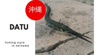 初心者でも釣れる！2月〜3月、冬～早春に沖縄旅行ついでにショアから釣れる魚。【ダツ編】