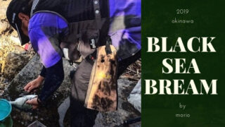 釣れるルアー＆釣り方紹介。2月〜3月、冬～早春に沖縄旅行ついでにショアから釣れる魚。【チヌ編】