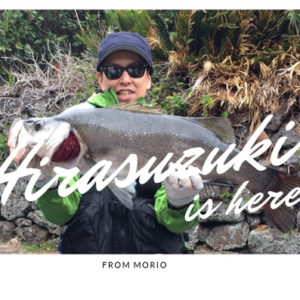 沖縄の街中で釣りをしてみよう 2月 3月 冬 早春に沖縄旅行ついでにショアから釣れる魚 ホシミゾイサキ ガクガク 編 Fishing Style