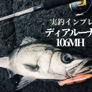 18ディアルーナ S106MH 塩辛かっ