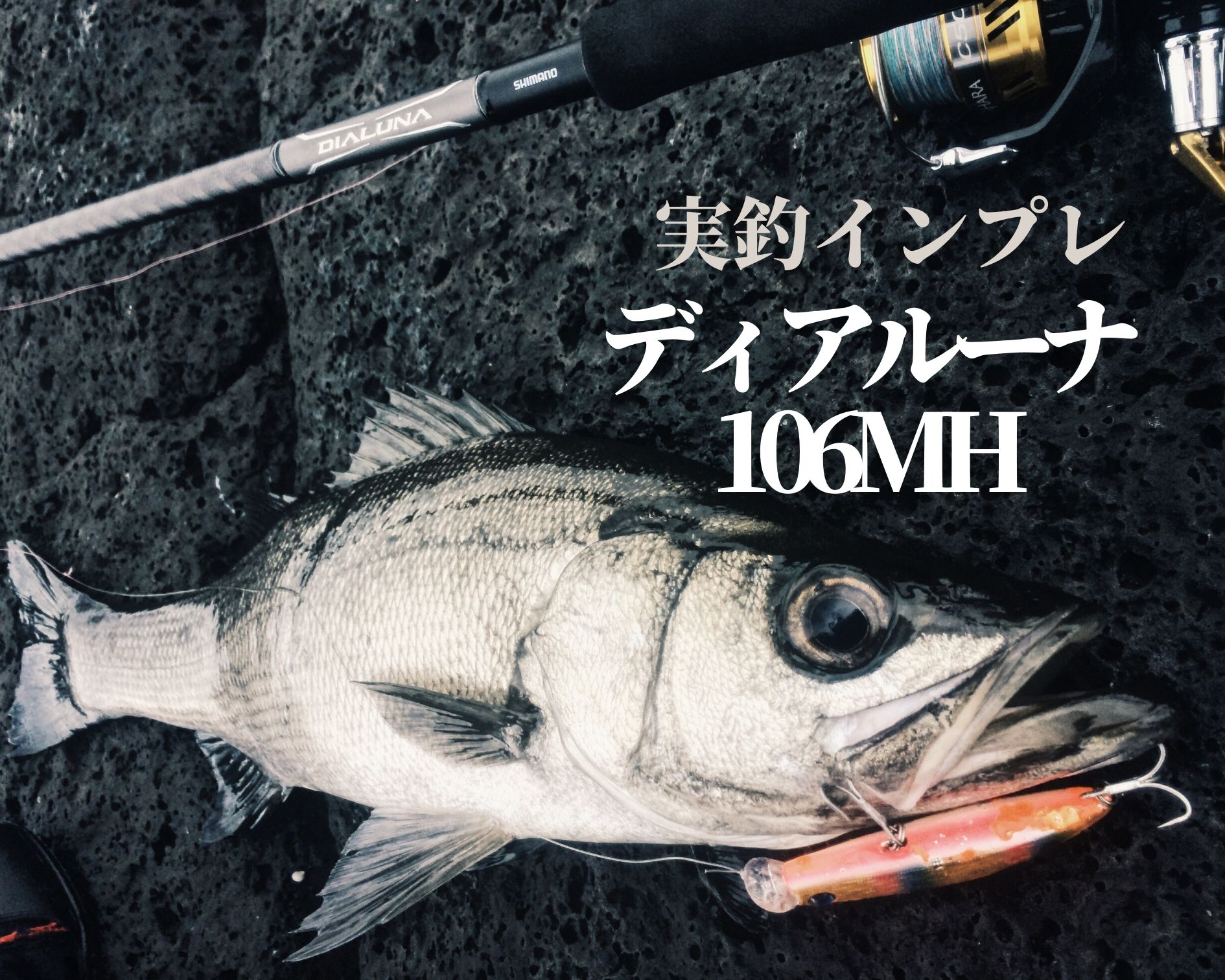 シマノ SHIMANO ディアルーナ ルナミス ２本セット シーバスロッド eva