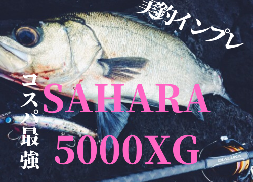 サハラ5000XG