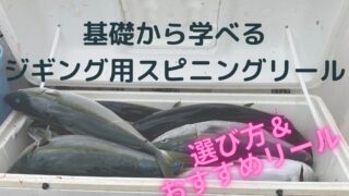 【26年版】オフショアジギング用スピニングリールおすすめ|失敗しない選び方と価格帯別モデル