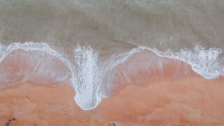 冬のヒラメを狙う!静岡のおすすめポイントを紹介!12月,1月,2月,3月に釣れる場所