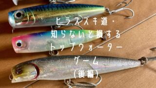 ヒラスズキルアー 10個 よく泳ぎます！ 2022年版]ヒラスズキ用ルアーの選び方解説とおすすめルアー厳選6
