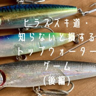 ヒラスズキルアー 10個 よく泳ぎます！ 3C64526A-1A6D-4BB8-8B55-