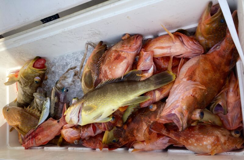 フィッシングスタイル