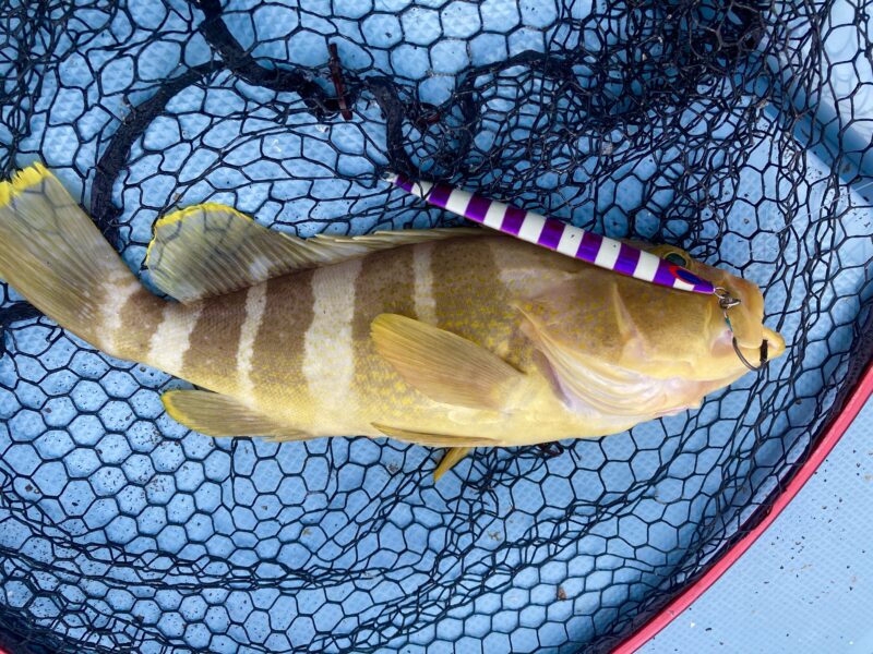 スロージギング