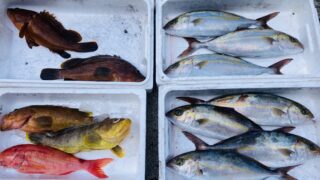 都心からもアクセスできる!?熱海の釣りポイントを紹介!女性・ファミリー向け