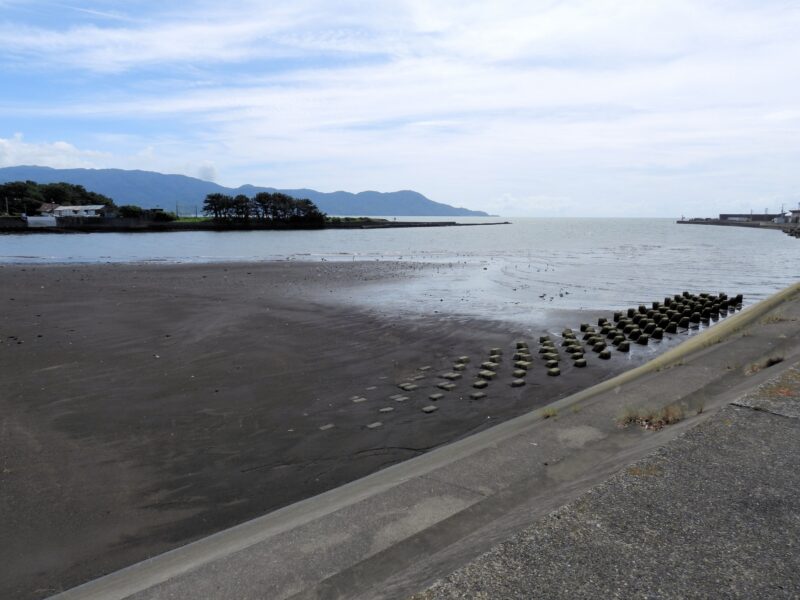 狩野川シーバス