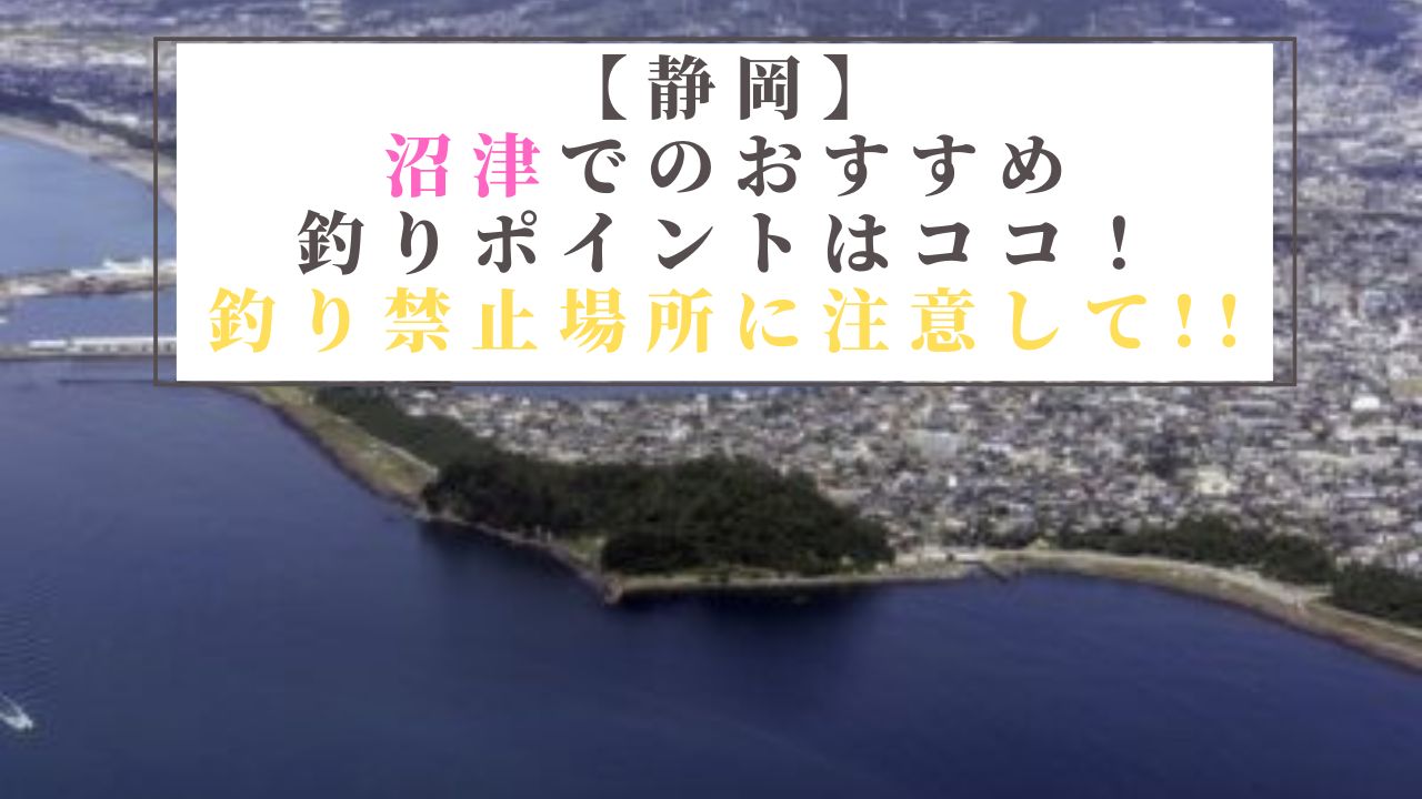 【静岡】沼津でのおすすめ釣りポイントはココ！釣り禁止場所に注意して!!