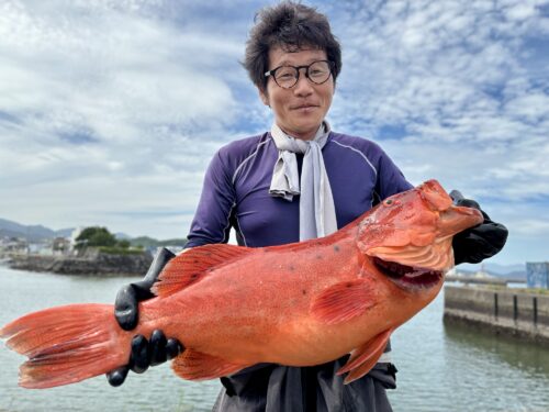 夏の南方系