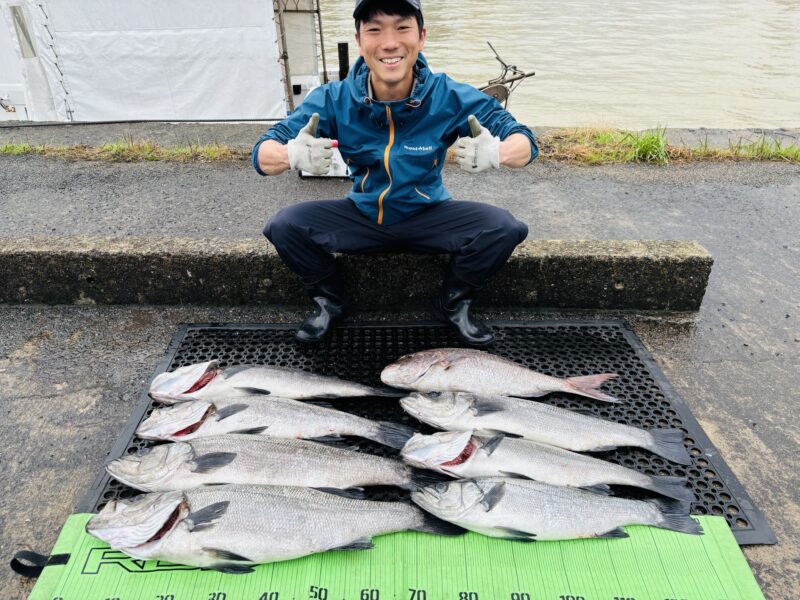 4月ヒラスズキ