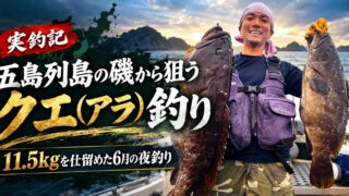 五島列島の磯から狙うクエ（アラ）釣り｜11.5kgを仕留めた6月の夜釣り
